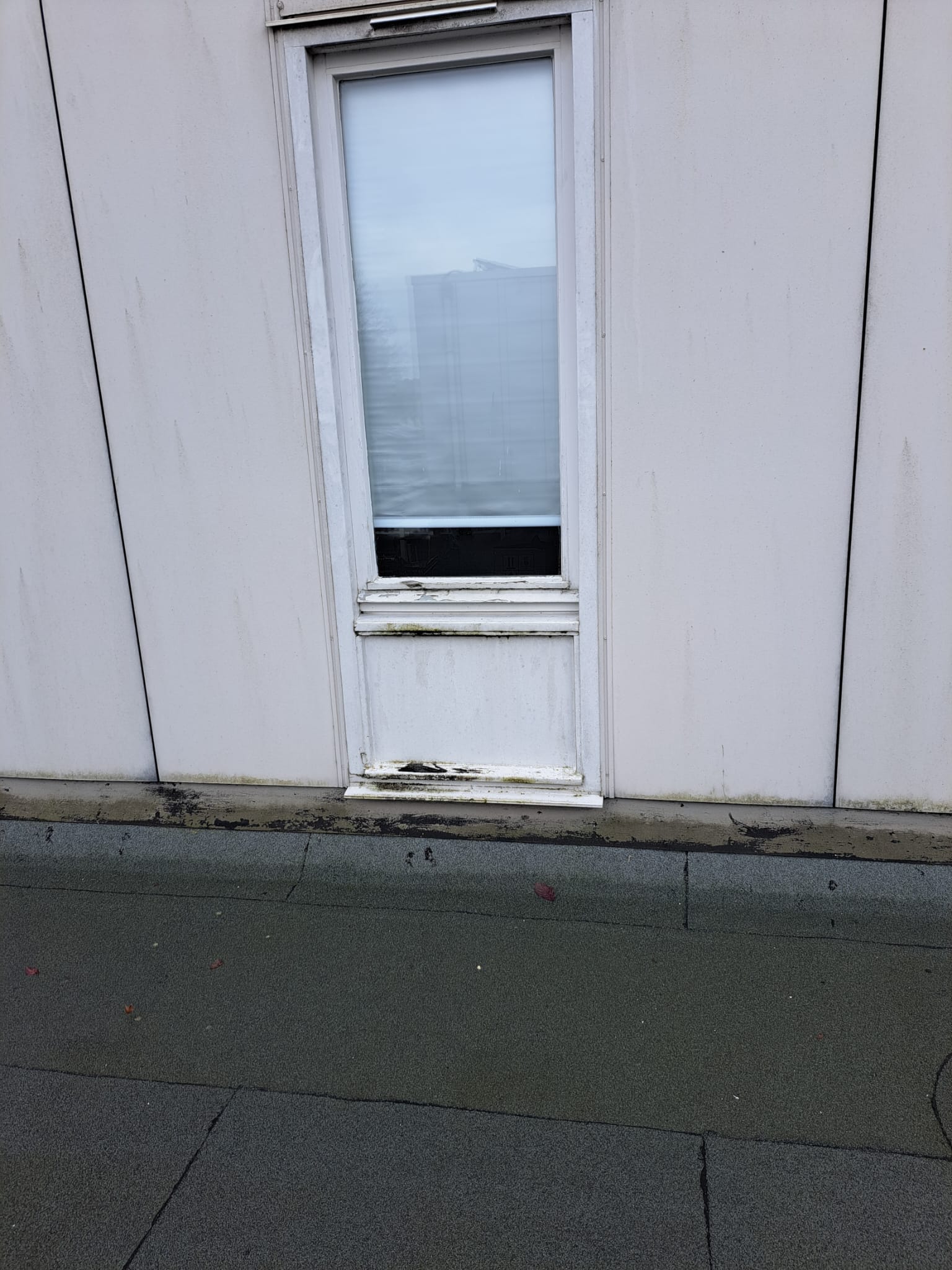 Projectfoto van schilderwerk en onderhoud door Schilderwerk Pro & Onderhoud 31